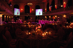 Pink Frolic Ball Room